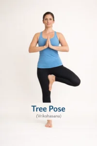 Tree Pose