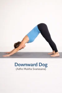 Downward Dog 