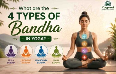4 types of bandha in yoga